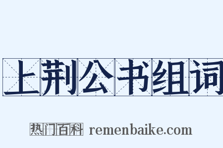 上荆公书组词是什么意思的图片